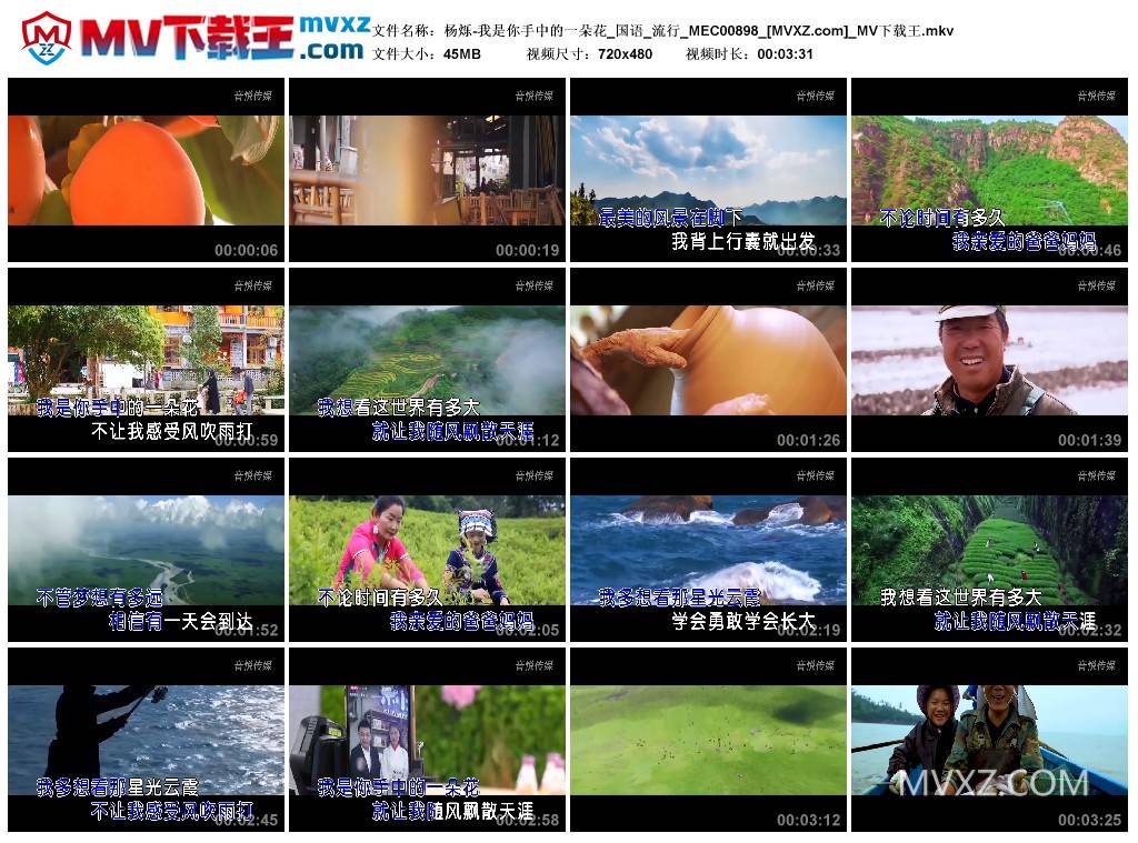 杨烁-我是你手中的一朵花_国语_流行_MEC00898